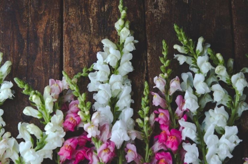 真的要因为钱而分手吗？男友没有钱该不该分手