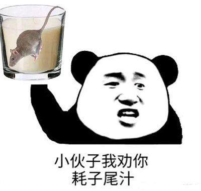 马宝国耗子尾汁表情包高清