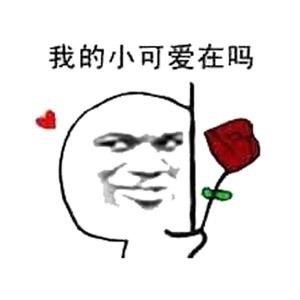 You are so beautiful撩妹表情包