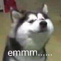 ♡乔妍妍♡超可爱の表情包